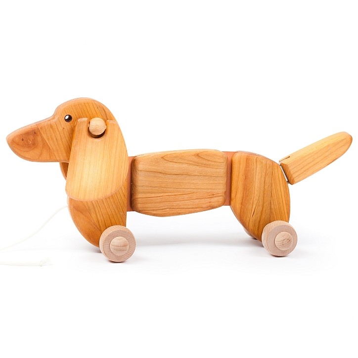 Bajo Dachshund
