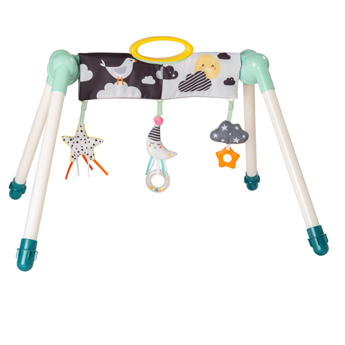 Taf Toys Mini Moon Take to Play Gym