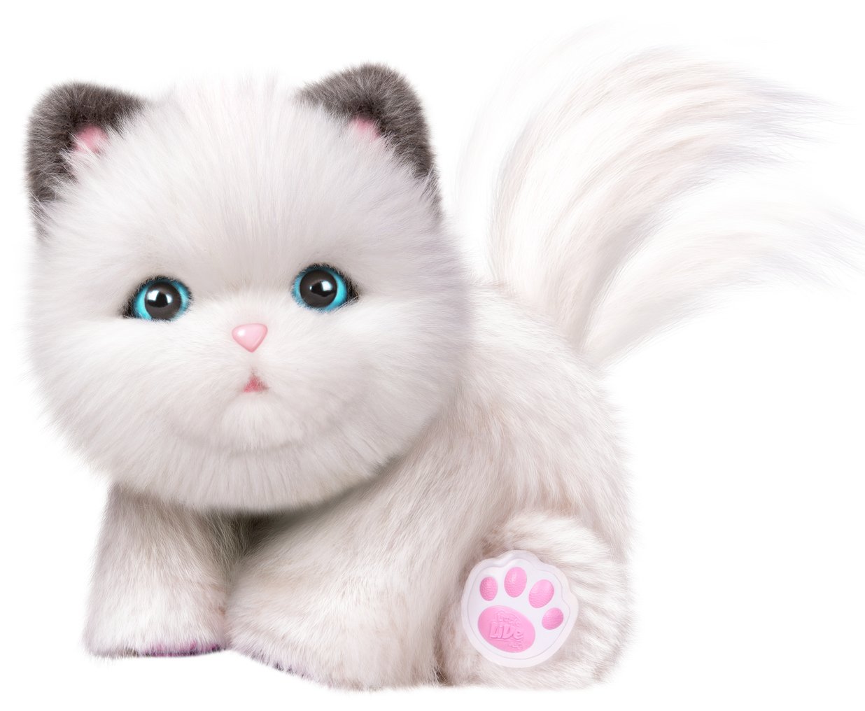 Little Live Pets Cuddles My Dream Kitten