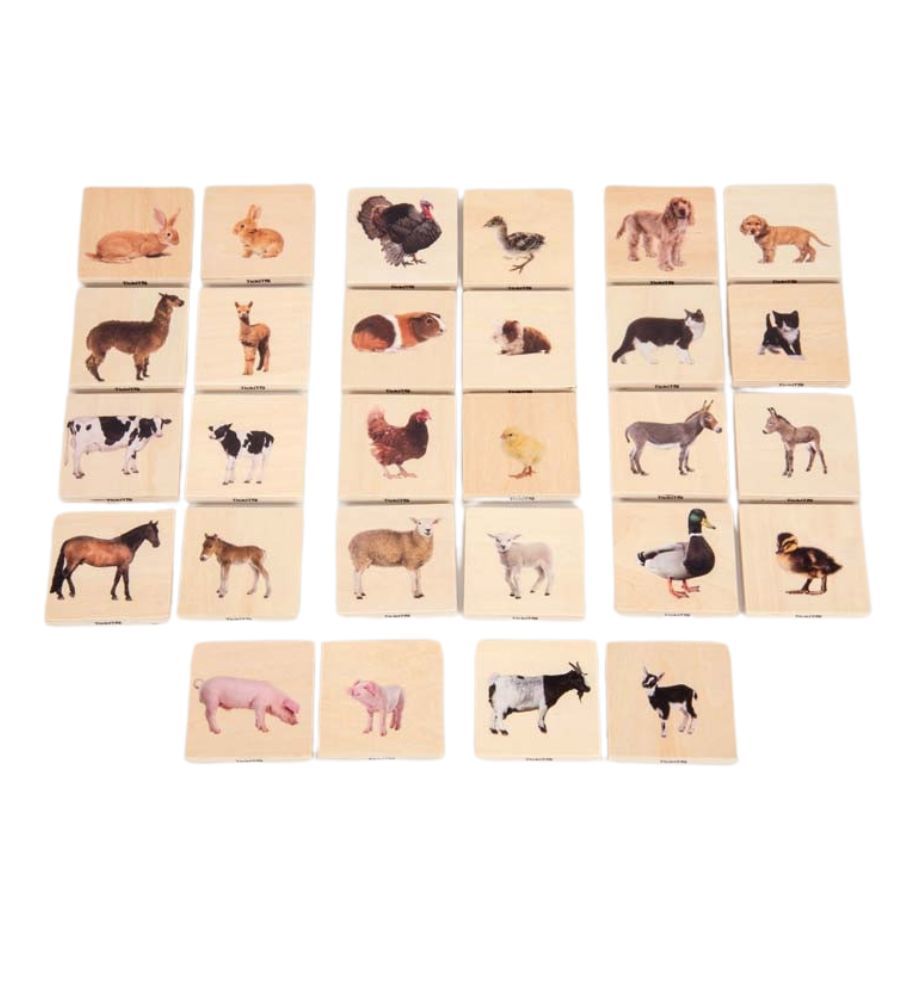 Animal Pairs Final.jpg