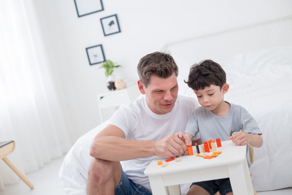 4135_PlanToys_DOMINO_RACE_PlanMini_Concentration_Coordination_Language_and_Communications_Social_Fine_Motor_3yrs_Wooden_toys_Education_toys_Saf (1).jpg